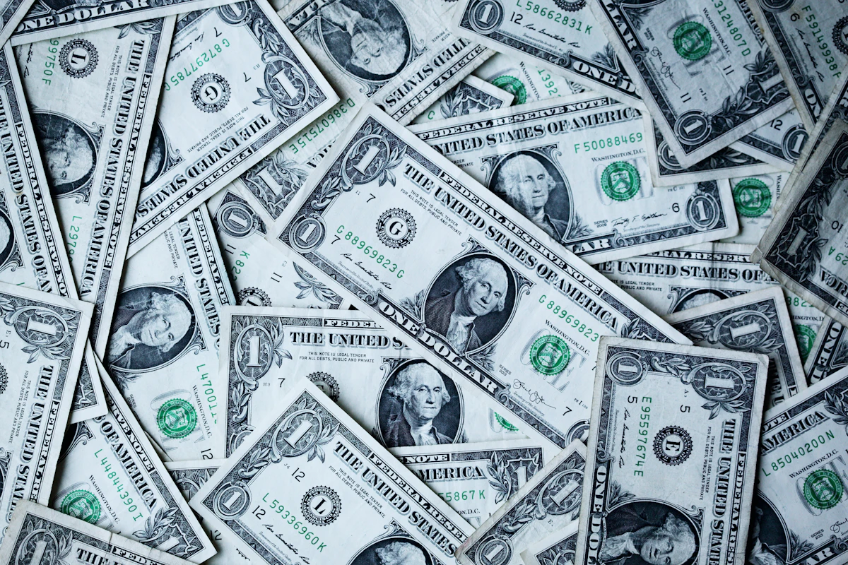 Protect identity — financial independence article illustration